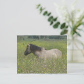 Wildes Pferd im Feld DIY Blume Postkarte (Stehend Vorderseite)