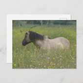 Wildes Pferd im Feld DIY Blume Postkarte (Vorne/Hinten)