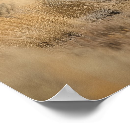 Wildes Pferd im Gebirge Poster (Ecke)