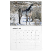 Wildes Pferd im Sandwaschbecken Kalender (Feb 2026)