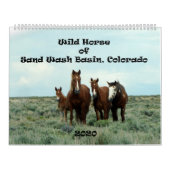 Wildes Pferd im Sandwaschbecken Kalender (Titelbild)