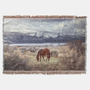 Wildes Pferd: Nevada Winterlandschaft. Decke