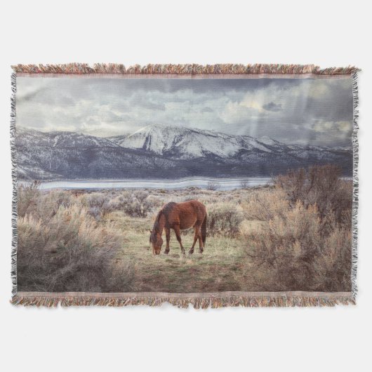 Wildes Pferd: Nevada Winterlandschaft. Decke (Vorderseite)