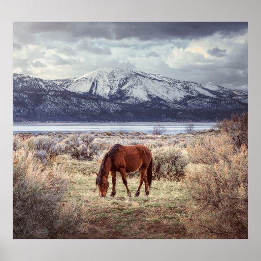 Wildes Pferd: Nevada Winterlandschaft. Poster (Vorne)