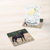 Wildes Pferd Rechteckiger Pappuntersetzer (Vor Ort)