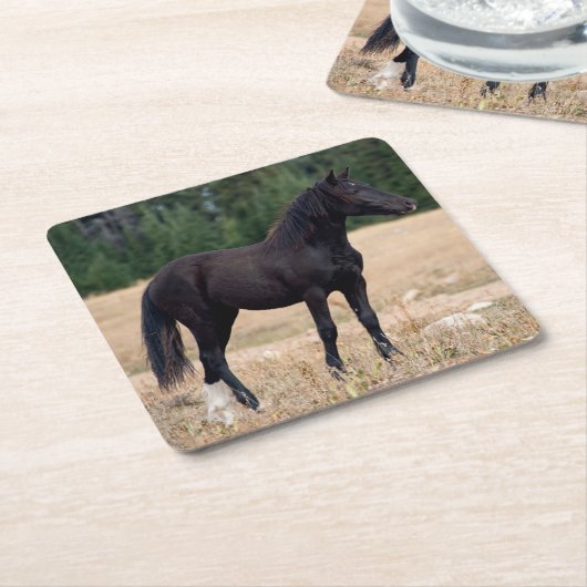 Wildes Pferd Rechteckiger Pappuntersetzer (angewinkelt)