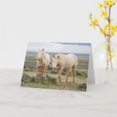 Wildes Pferd Roaming auf dem Priaire von Cody Karte (Gelbe Blume)