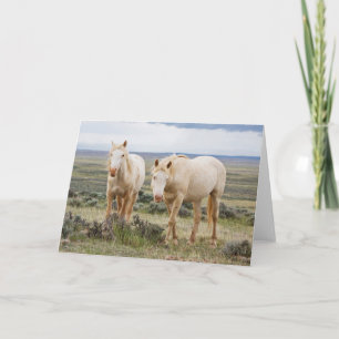 Wildes Pferd Roaming auf dem Priaire von Cody Karte