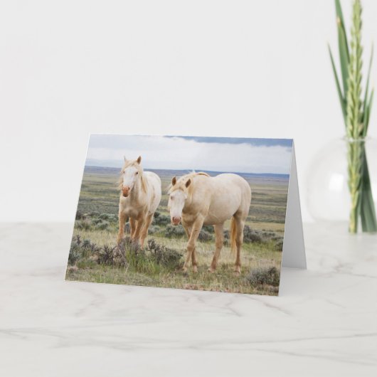 Wildes Pferd Roaming auf dem Priaire von Cody Karte (Vorderseite)