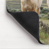 Wildes Pferd Roaming auf dem Priaire von Cody Mousepad (Ecke)
