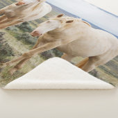 Wildes Pferd Roaming auf dem Priaire von Cody Sherpadecke (3/4)