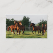 Wildes Pferd runden oben Visitenkarte (Rückseite)