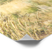 Wildes Pferd Schwarz und Weiß-Band-Druckplakat Poster (Ecke)