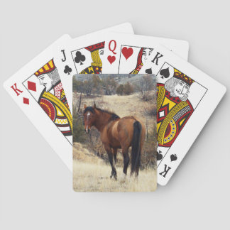 Wildes Pferd Spielkarten