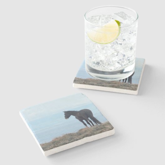 Wildes Pferd Steinuntersetzer (Seitenansicht)