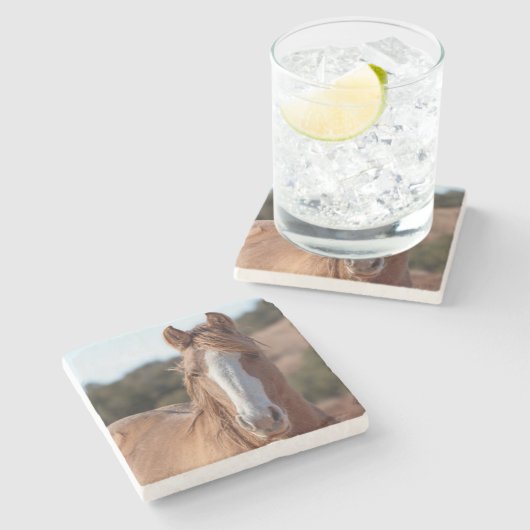 Wildes Pferd Steinuntersetzer (Seitenansicht)