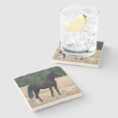 Wildes Pferd Steinuntersetzer (Seitenansicht)