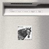 Wildes Pferd Südwest Foto Magnet (In Situ (Geschirrspüler))