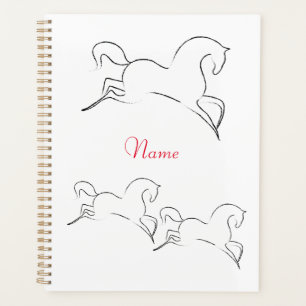 Wildes Pferd Thunder_Cove Planer