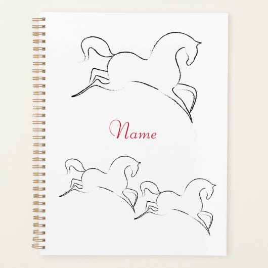 Wildes Pferd Thunder_Cove Planer (Vorderseite)