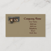 Wildes Pferdetrio-Visitenkarte Visitenkarte (Rückseite)