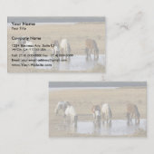Wildes Pony Visitenkarte (Vorne/Hinten)