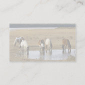 Wildes Pony Visitenkarte (Rückseite)
