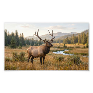 Wildes Reh in landschaftlicher Berglandschaftsfoto Fotodruck