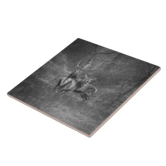 Wildes Rotwild und Hirsch in Schottland Fliese (Seite)