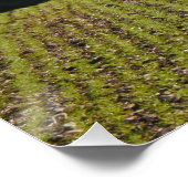 Wildes Schwarzwild-Hirschposter Poster (Ecke)