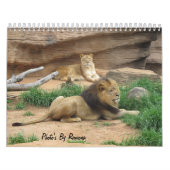 Wildes Tier-Kalender durch Ramona Taylor Kalender (Titelbild)