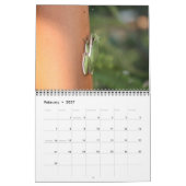 Wildes Tier-Kalender Kalender (Feb 2027)