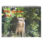 Wildes Tier-Kalender Kalender (Titelbild)