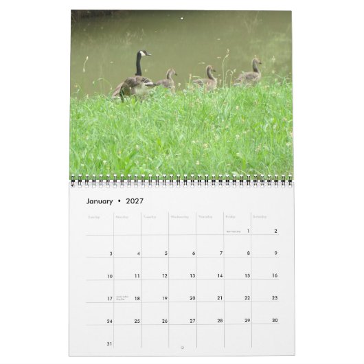 Wildes Tier-Kalender Kalender (Jan 2027)