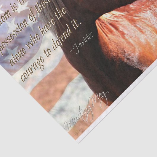 Wildes und patriotisches Gewebe-Geschenk-Papier Seidenpapier (Ausschnitt)