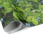 Wildes Vergissmeinnicht-Blumen-Foto Geschenkpapier (Rolleneckpunkt)
