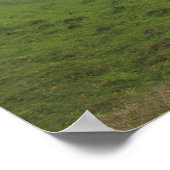 Wildes Wasser Poster (Ecke)