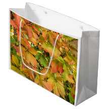 Wildes Weinstock-Blätter des Herbstes