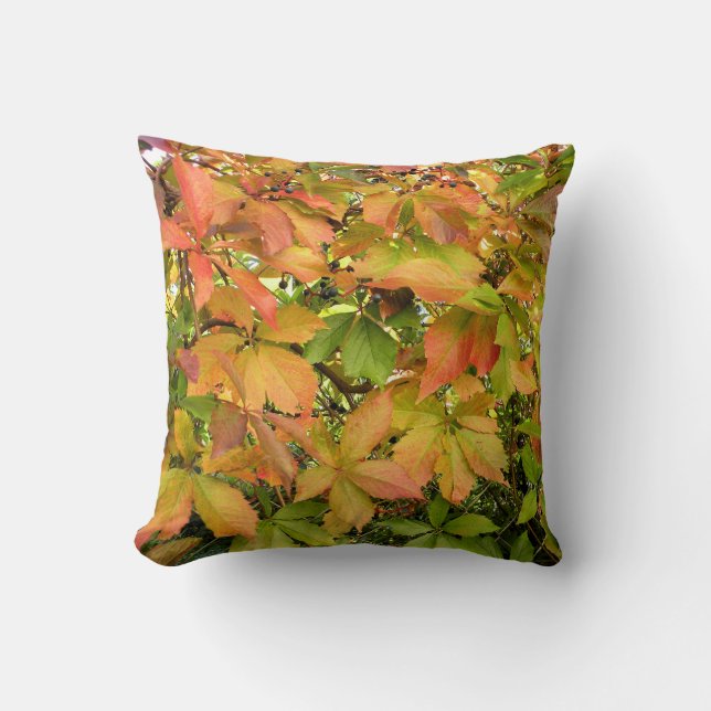 Wildes Weinstock-Blätter des Herbstes Kissen (Vorderseite)