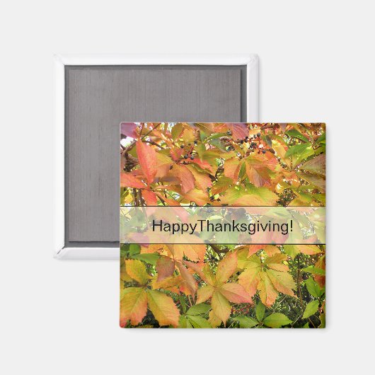 Wildes Weinstock-Blätter des Herbstes Magnet (Vorderseite/Rückseite)