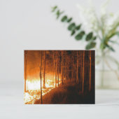 Wildfire Blaze Postkarte (Stehend Vorderseite)