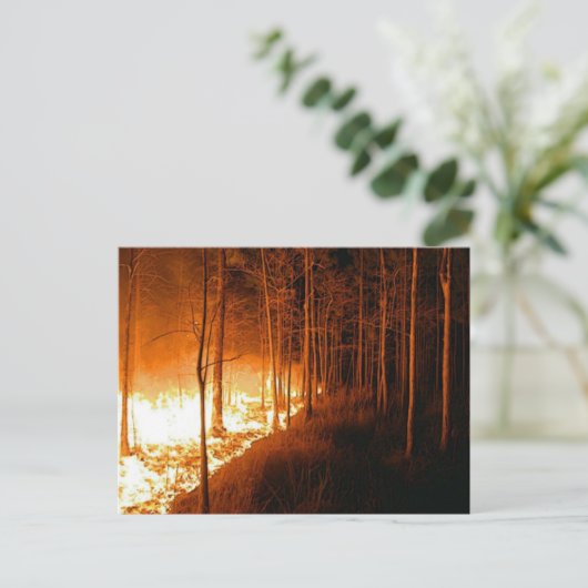 Wildfire Blaze Postkarte (Stehend Vorderseite)