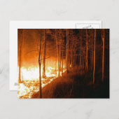 Wildfire Blaze Postkarte (Vorne/Hinten)