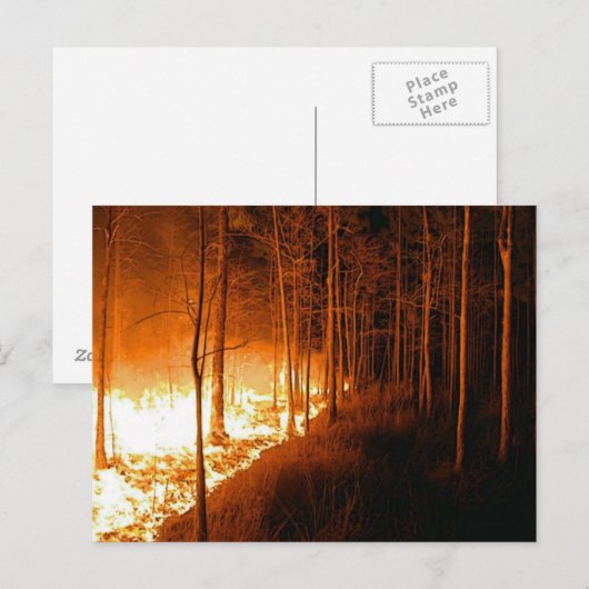Wildfire Blaze Postkarte (Vorne/Hinten)