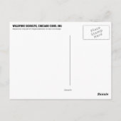 Wildfire Schulte, Chicago Cubs, 1911 Postkarte (Rückseite)