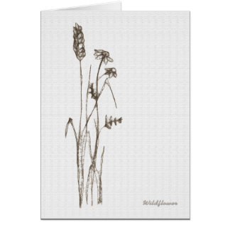 Wildflower