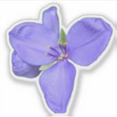 Wildflower Beauty – Nature Photo Sticker (Vorderseite)