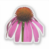 Wildflower Beauty – Nature Photo Sticker (Vorderseite)