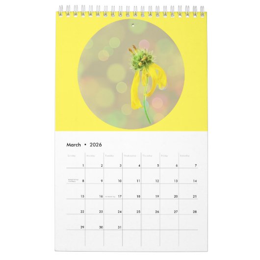 Wildflower Close-Up Portrait Photography Kalender (Mär 2026)
