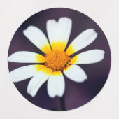 Wildflower Etiketten (Design 1)